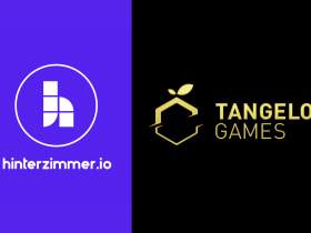 hinterzimmer.io-partners-with-tangelo-games-to-deliver-engaging-social-slots-content-to-sweepstakes-and-rmg-casinos